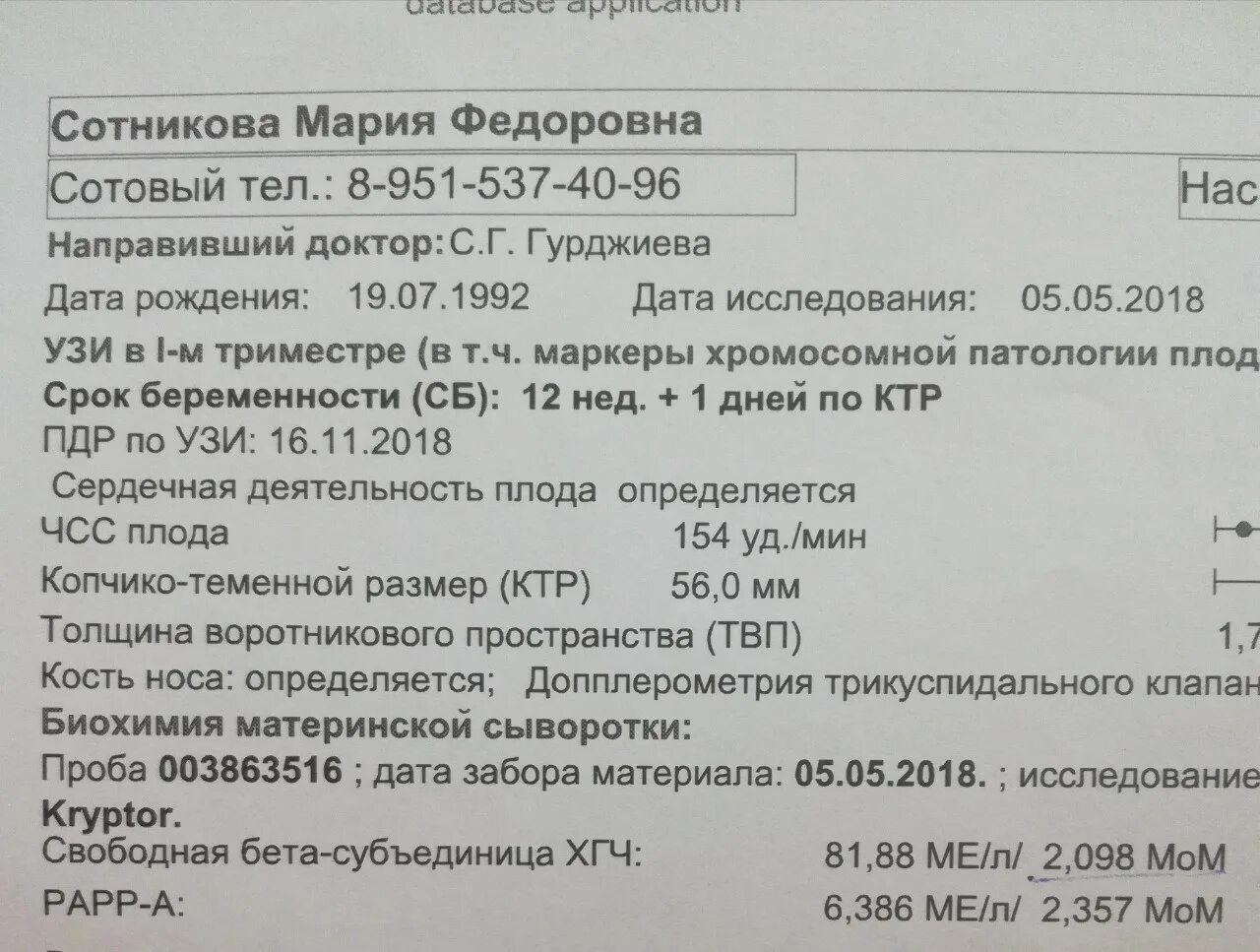 13 субъединица хгч