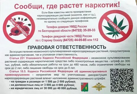 Куда сообщить о