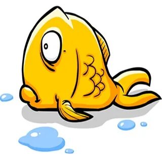 Fish out