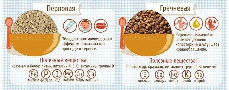 В какой каше больше белка. Калорийность гречки и перловки. Путеводитель по кашам. Количество белков в гречневой каше. Гречка калории.