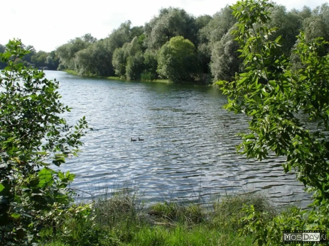 Вода текстильщики. Бассейн миси ярославское шоссе. Манеж мгсу бассейн. Капотня пруд с лебедями. Бассейн тульская aquastar.