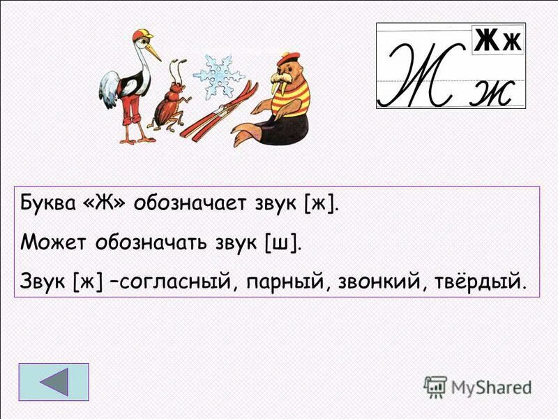 Буква ж звук обозначаемый. Какой звук обозначает буква ж. Характеристика буквы ж. Звуковое обозначение буквы ж. Описать звук который обозначает буква ж.