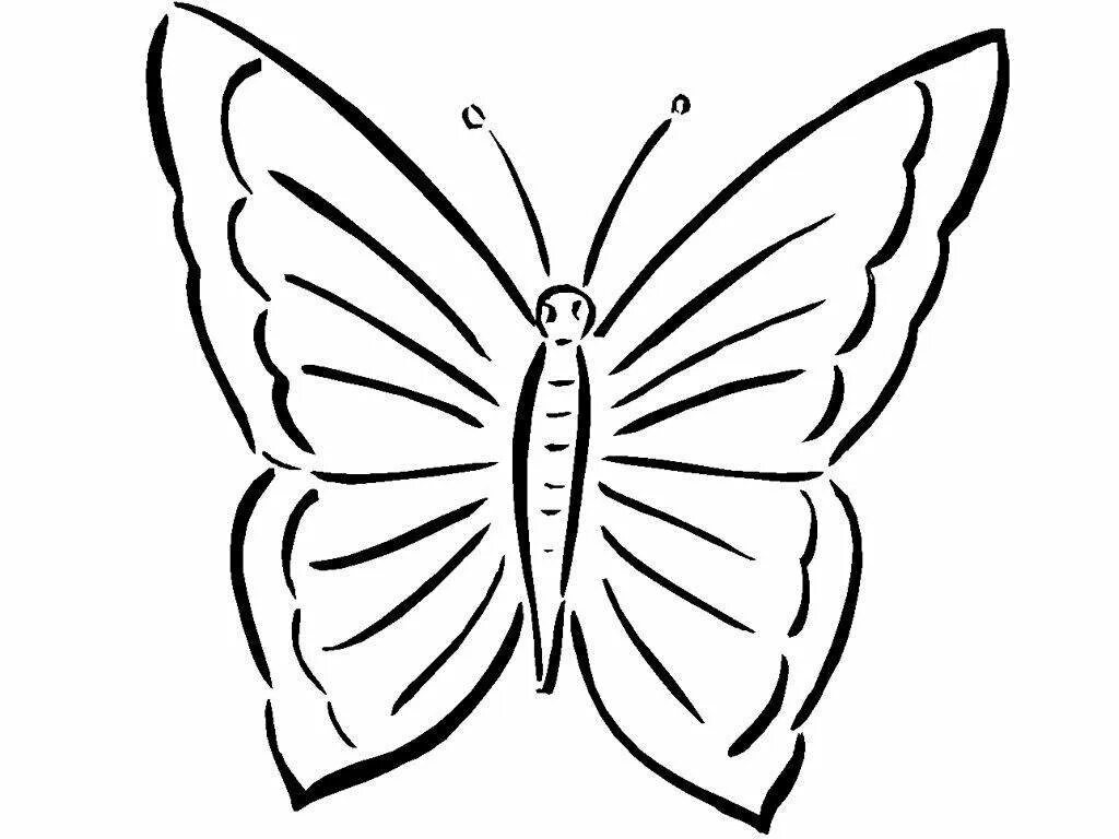 Шаблон бабочек для печати. Трафареты бабочки. Трафарет бабочки для вырезания. Бабочка раскраска для детей. Бабочки для печати трафарет.