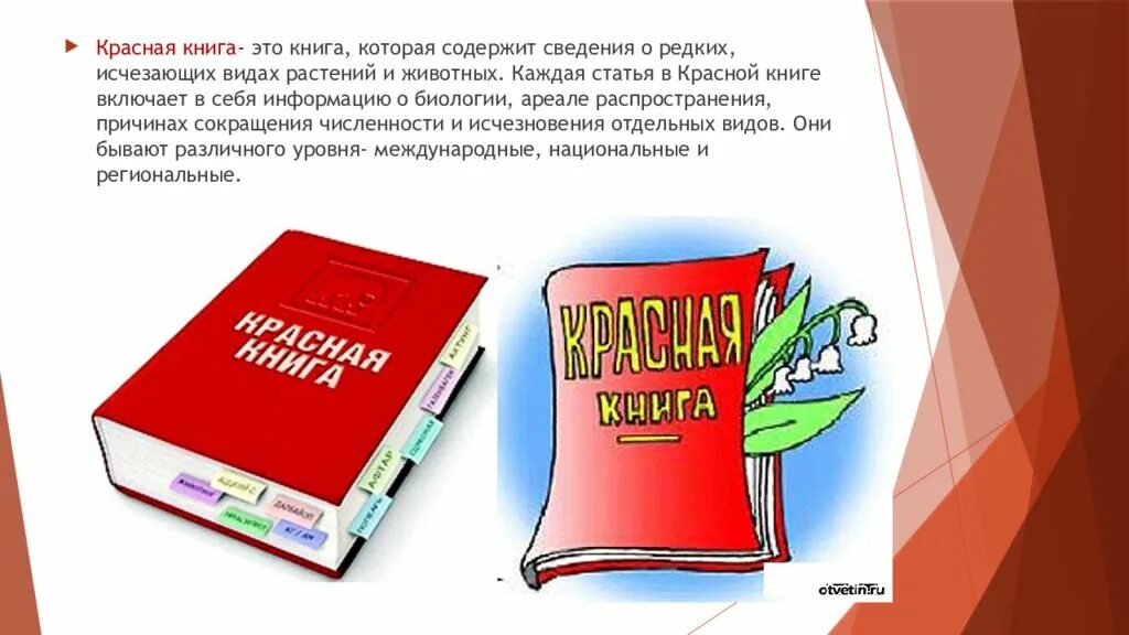 Книги похожие на красную книгу. Красная книга это книга которая содержит. Красная книга это книга которая содержит сведения о. Проект красная книга. Защита проекта красная книга.