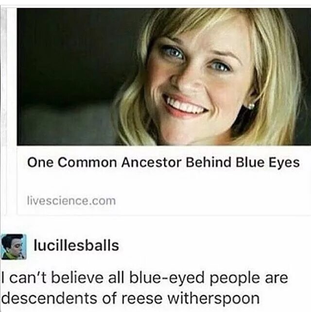 People also like. Blue Eyes meme. People with Blue Eyes meme. Уизерспун funny face. Мем Уизерспун.