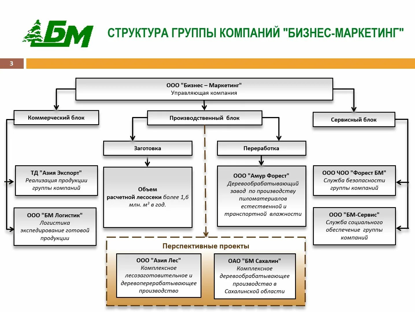 Какие ук ооо. Организационная структура группы компаний. Структура управления пик. Организационная структура холдинга пример. Организационная структура холдинга пример схема.