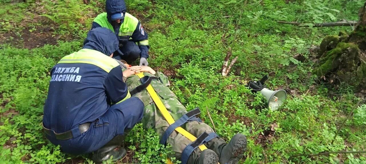 Заблудились в болоте. Человек заблудился в лесу. Человек потерялся в лесу. Потерялся в лесу служба спасения. Спасатели леса.