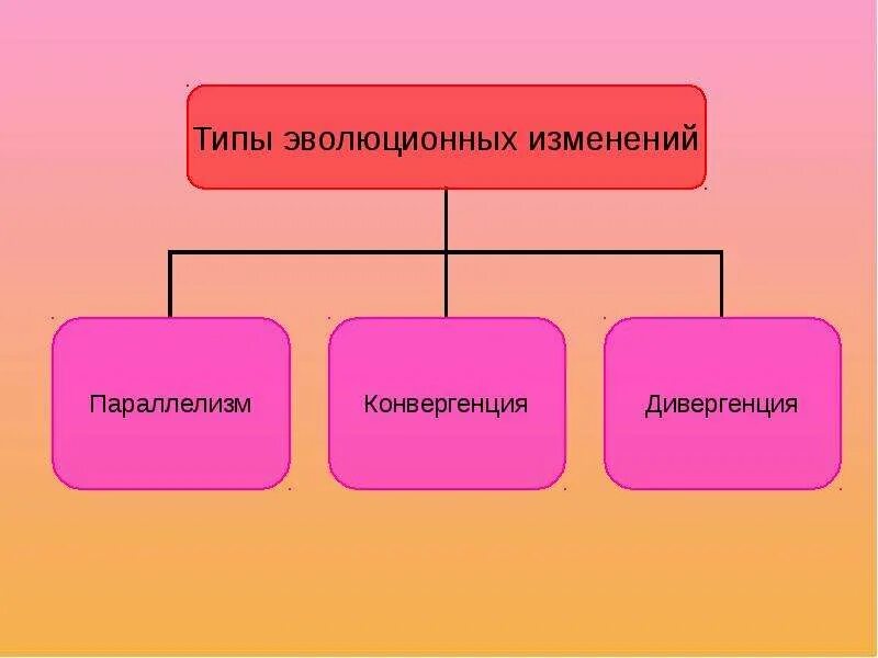 Типы эволюционных изменений. Основные типы эволюционных изменений. Типы эволюционных изменений схема. Типы эволюционных изменений параллелизм.