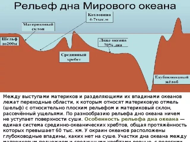 Формы рельефа материков и океанов. Шельф материковый склон ложе океана. строение дна мирового океана. как устроено дно океана. строение океанического дна.