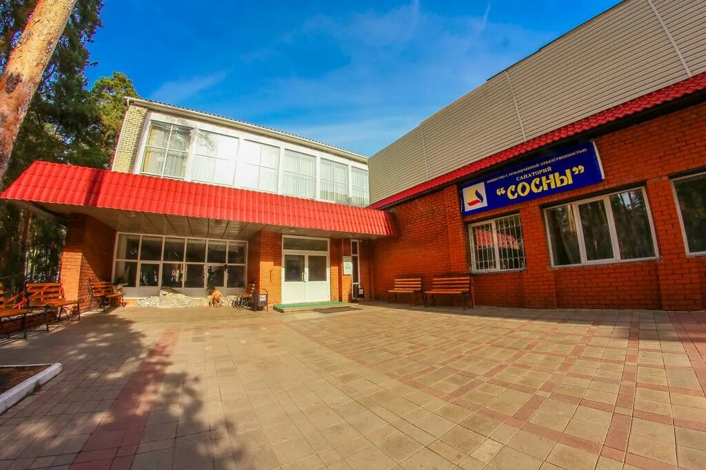 Пансионат сосны тамбов. Сосновый бор тамбов санаторий. Сайт санатория сосны тамбов. Санаторий сосны тамбовская область. Сосновый бор тамбов санаторий.