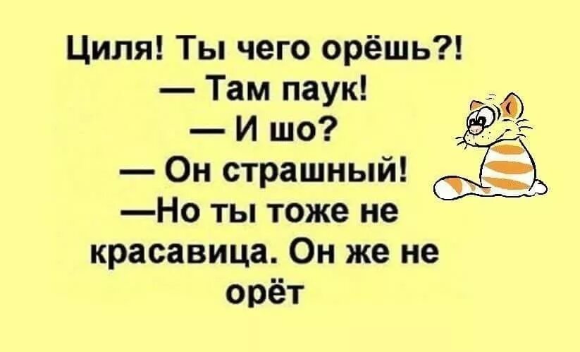 Там закричать. Юмор позитив приколы анекдоты. Ржака анекдоты. Топовые анекдоты. Юмор ржака приколы анекдот.