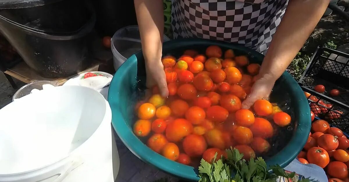 Помидоры с перцем на зиму. Бочковые помидоры в банке холодным рассолом. Вкусные помидоры в ведре холодным способом. Соление помидор в пластиковом ведре. Квашеные помидоры.