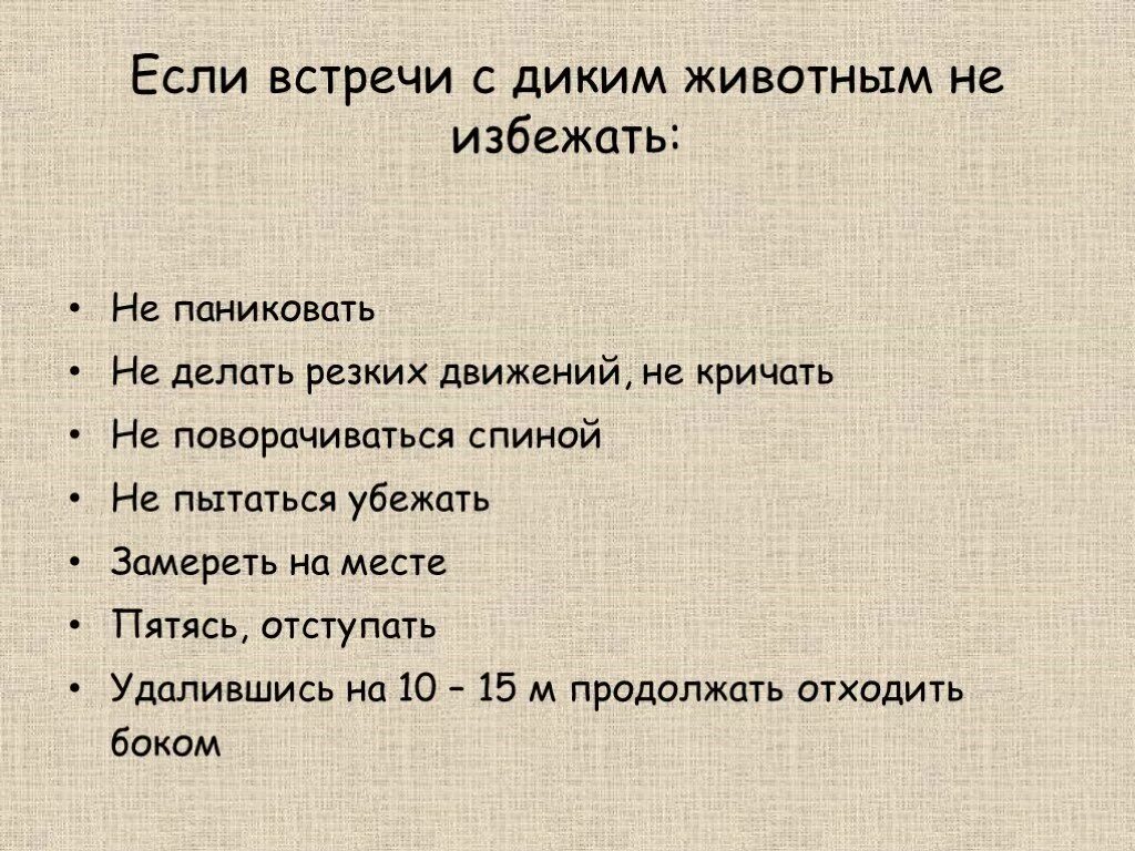 Правила поведения при встрече с дикими животными. При встрече с дикими животными. Обеспечение безопасности при встрече с дикими животными. Поведение при встрече с диким животным