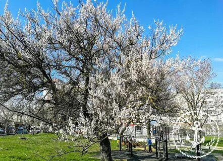 Апрель в новороссийске