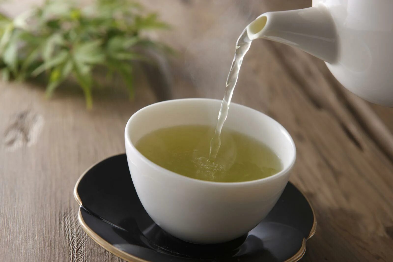 Чай зелёный «чай с манго». Зеленый чай Green Tea. Кчау зеленый. Чашка зеленого чая