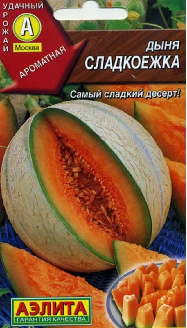Сорта комнатного инжира. Дыня сладкоежка. Томат сладкоежка седек. Томат сластена черри. Семена кукуруза сладкоежка седек.