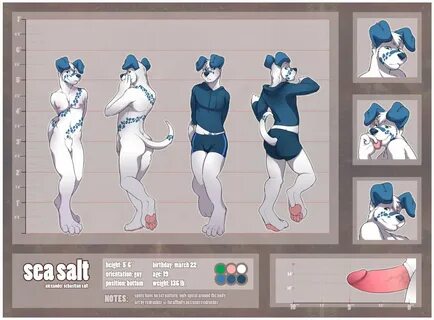 redrusker, sea salt, model sheet, text, canine, clothing, dalmatian, furry,...