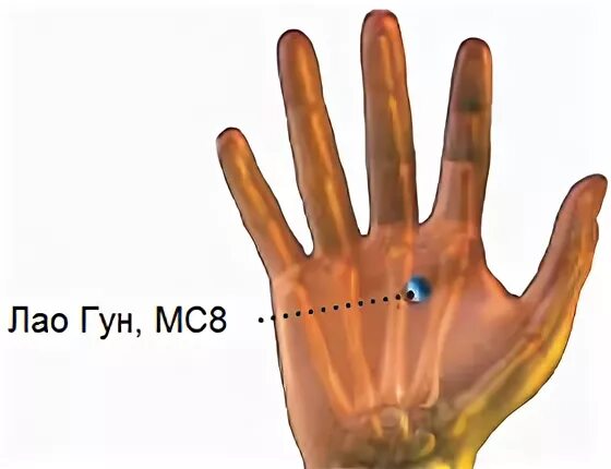 Точка лао гун на ладони. Точка лао гун на ладони. Точка лао гун. Точка мс 8. Акупунктурная точка лао гун.