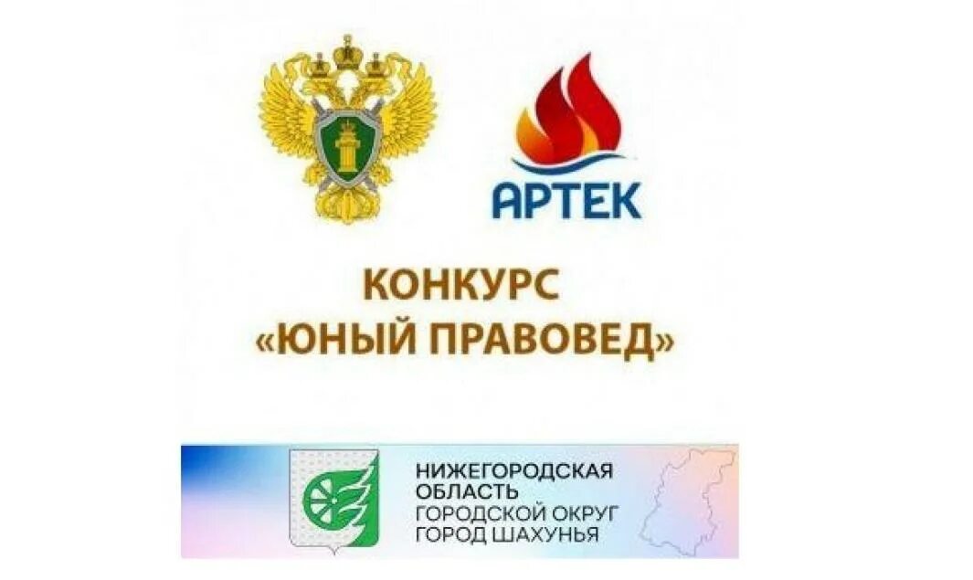 Юный правовед артек 2024