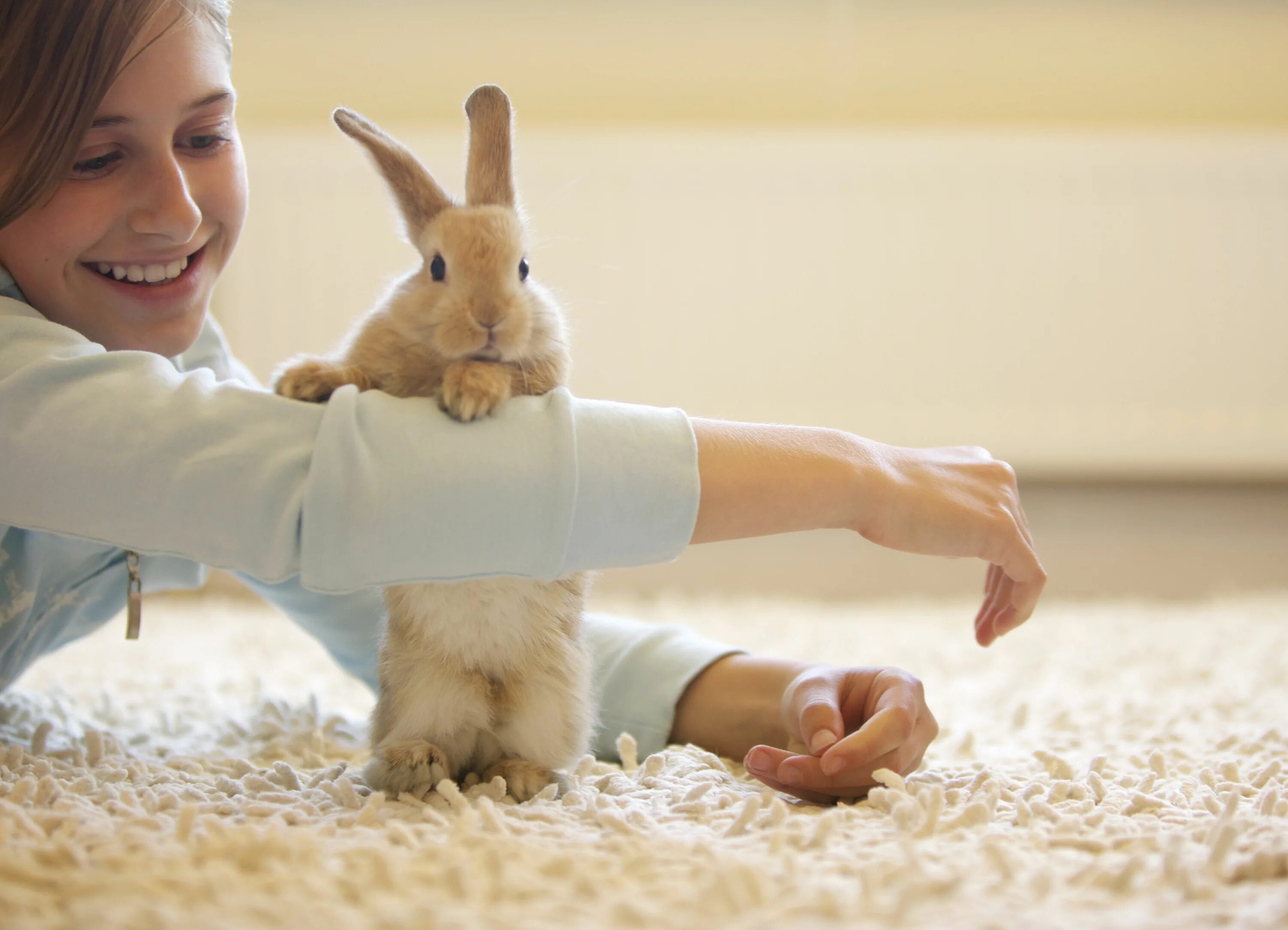 I a pet rabbit. Девушка кролик. Фотосессия с кроликом. Креативный кролик.