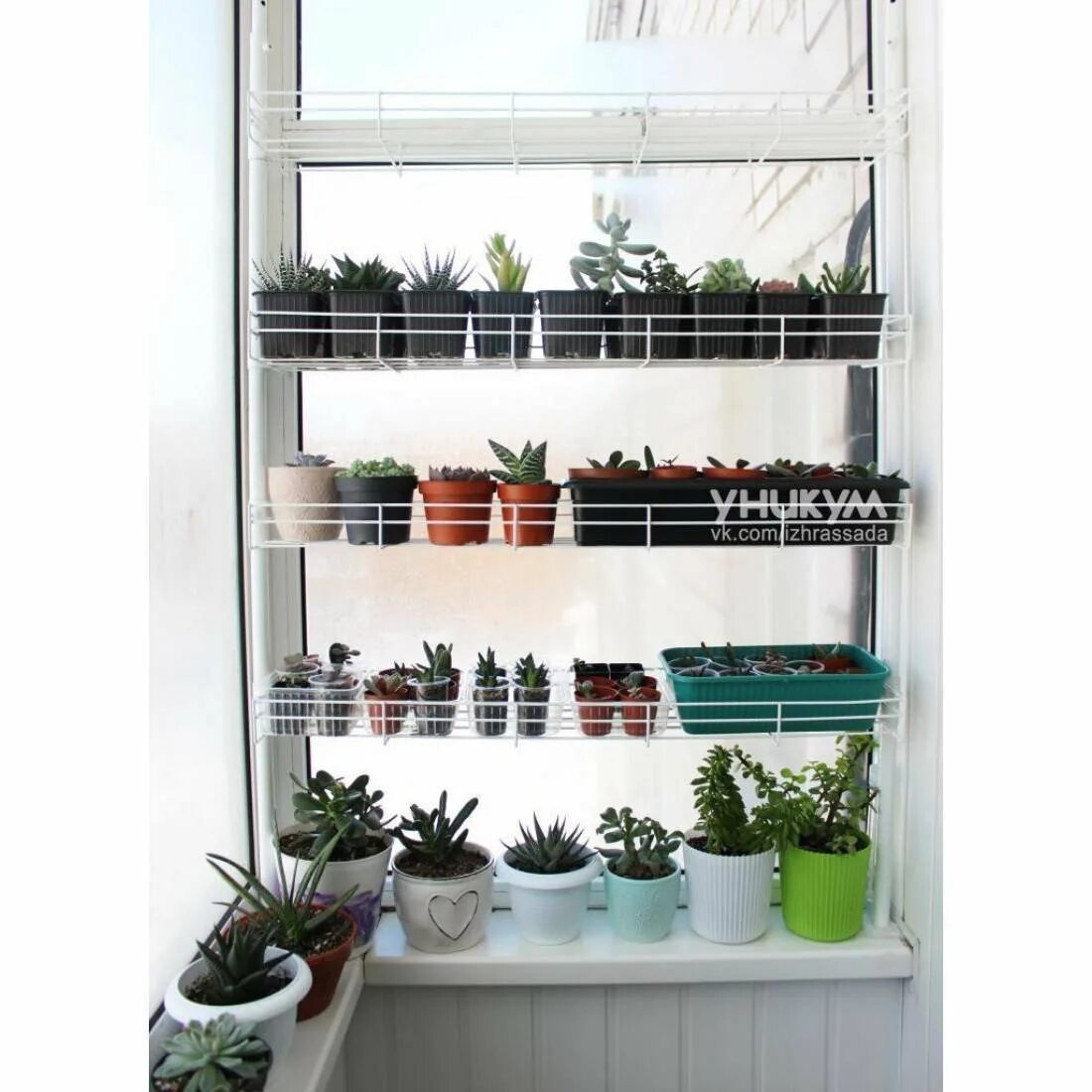 Расса. Стеллаж для рассады с подсветкой. Цветочный стеллаж на подоконник. Стеллаж для цветов на подоконник. Этажерка деревянная.