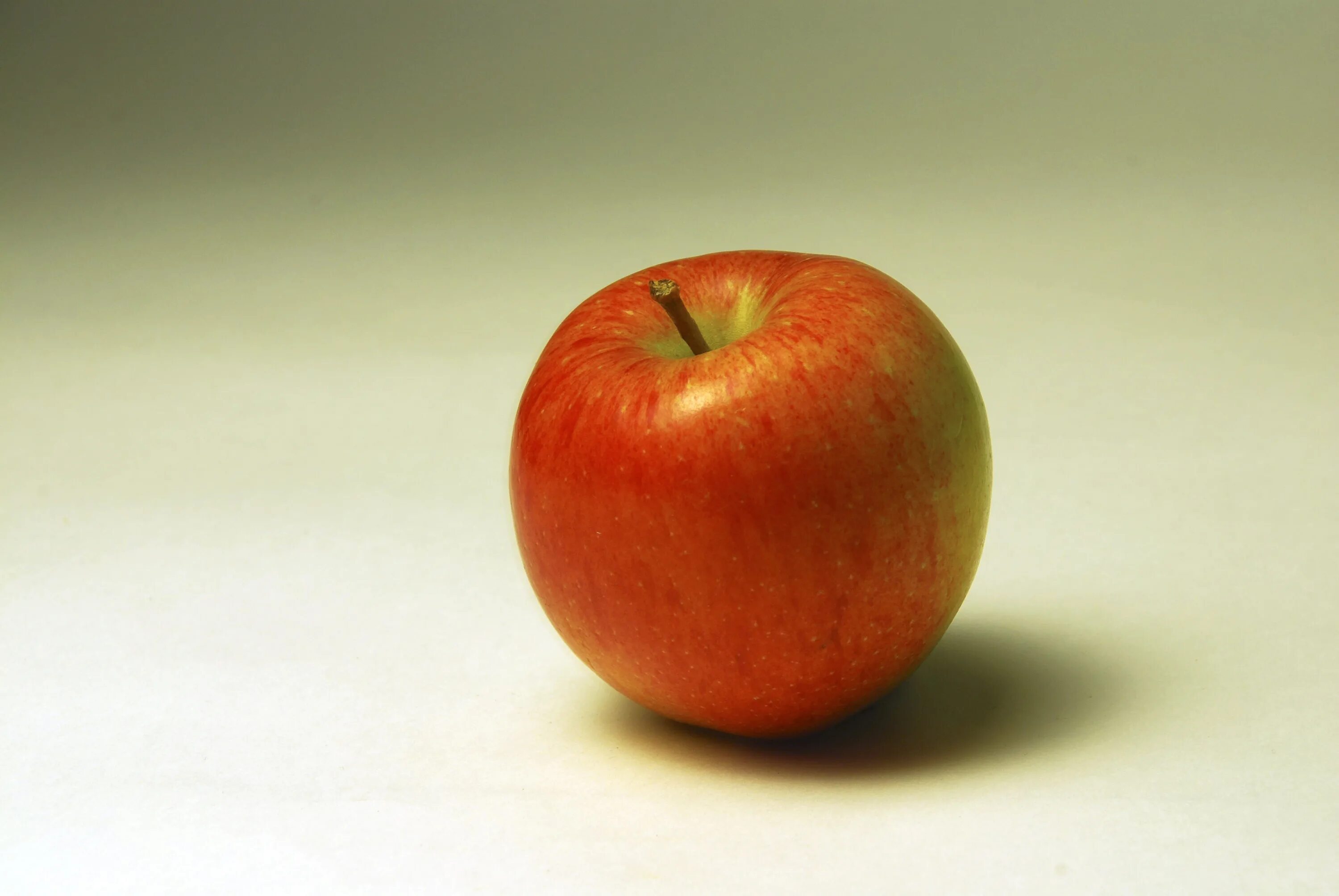 The apple am little. Яблоко. Яблоки красные. Яблоко на белом фоне. Яблоко на столе.