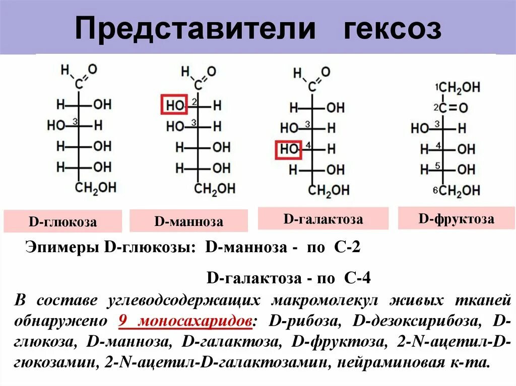 Состав глюкозы и фруктозы. Строение Глюкозы, маннозы, галактозы, фруктозы. Функции гексоз. Гексоза формула. D Глюкоза и d манноза.