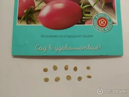 Розовая катя
