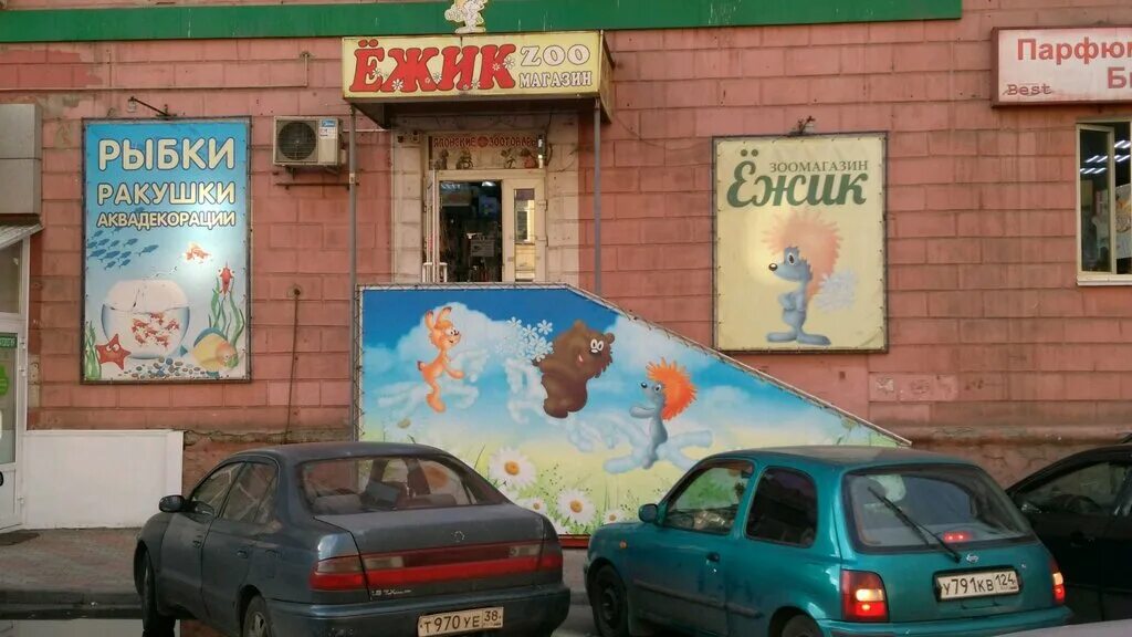 зоомагазин ежик. ежик красноярск. зоомагазин ежик. самый первый зоомагазин красноярск. зоомагазин попова щорса.