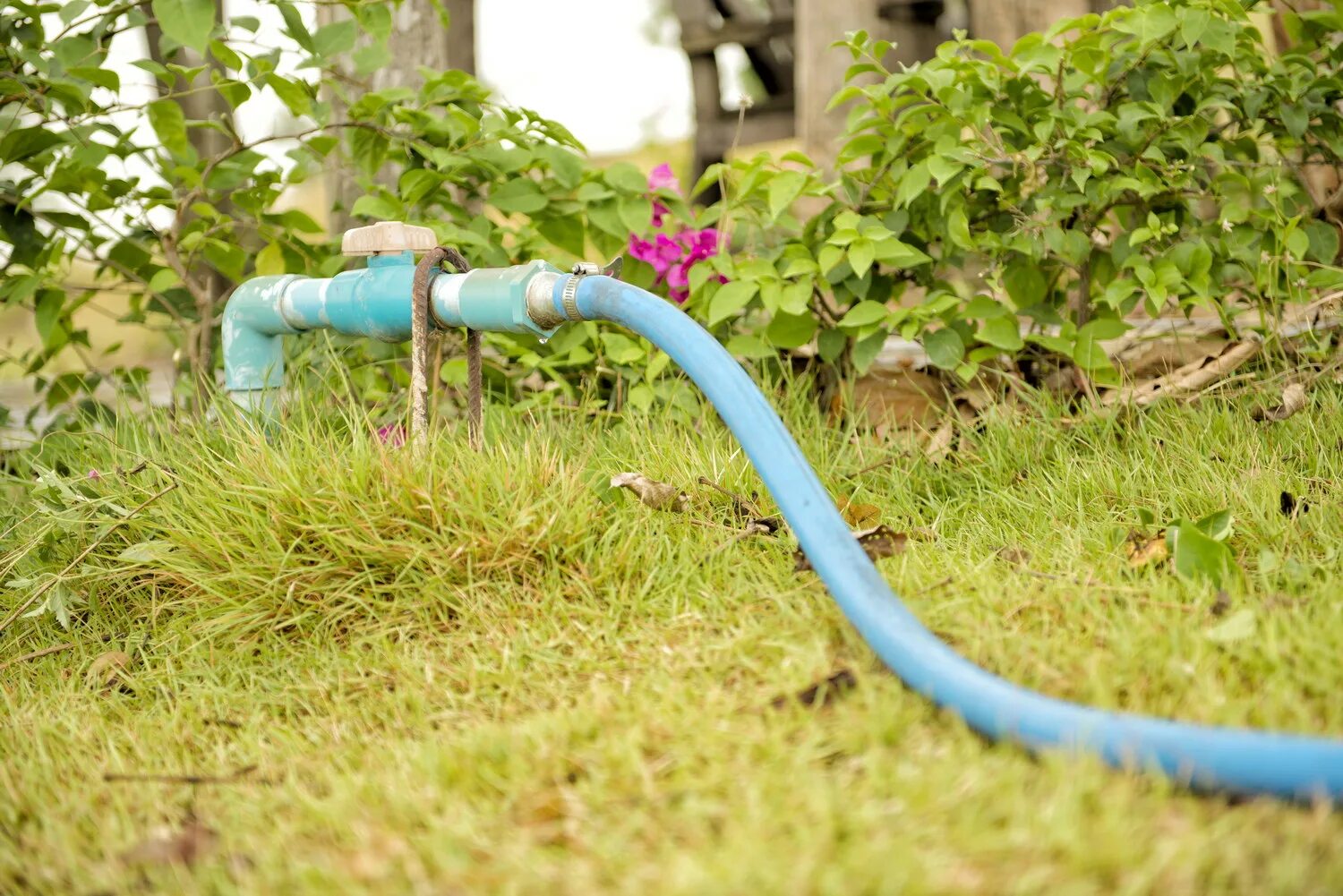 Открытый водопровод. Дачный водопровод ДВК-25. Водопровод для полива на даче. Летний водопровод на даче. Трубы для полива огорода.
