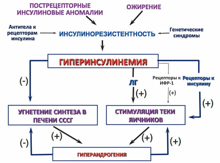 Патогенез инсулинорезистентности схема. Механизм развития инсулинорезистентности. Симптомы инсулин инсулинорезистентность. Схема развития инсулинорезистентности. Резистентность крови