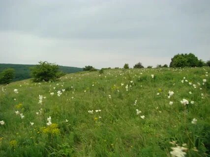 Ставропольский край село белое