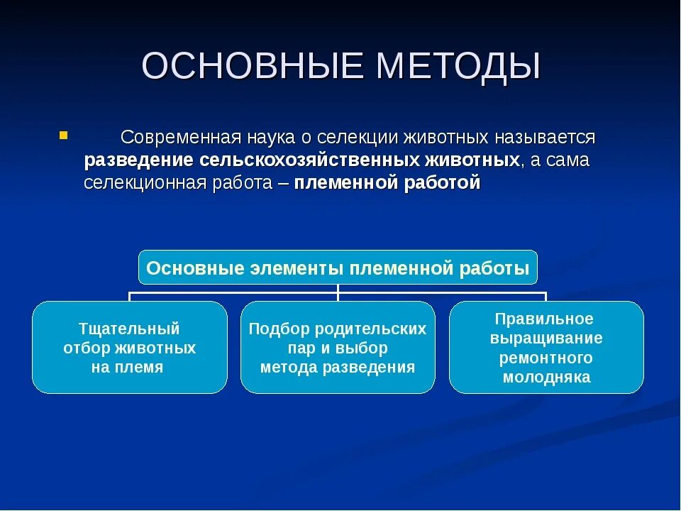 Методы племенной работы. Классификация методов разведения сельскохозяйственных животных. Методы работы селекции. Селекция животных методы разведения