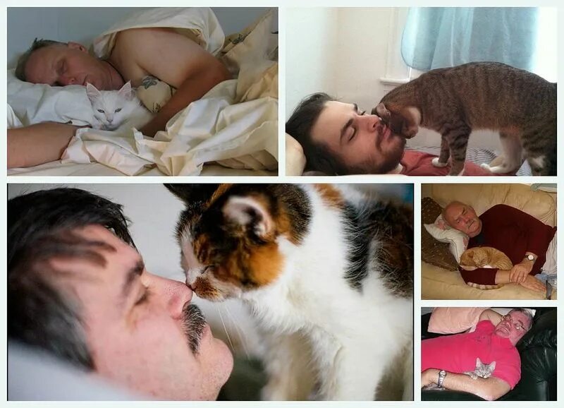 Кэт сын. Кот в обнимку с хозяином. Коты спят в обнимку с хозяином.