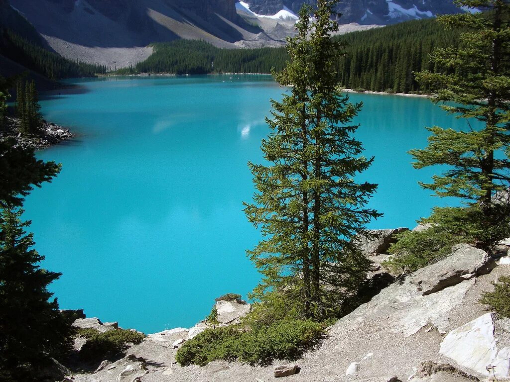 Ледниковое озеро Морейн, Канада. Озеро Morein. Голубое озеро Канада. Морейн (Канада). Самое красивое озеро в мире. Какие озера находятся на территории канады