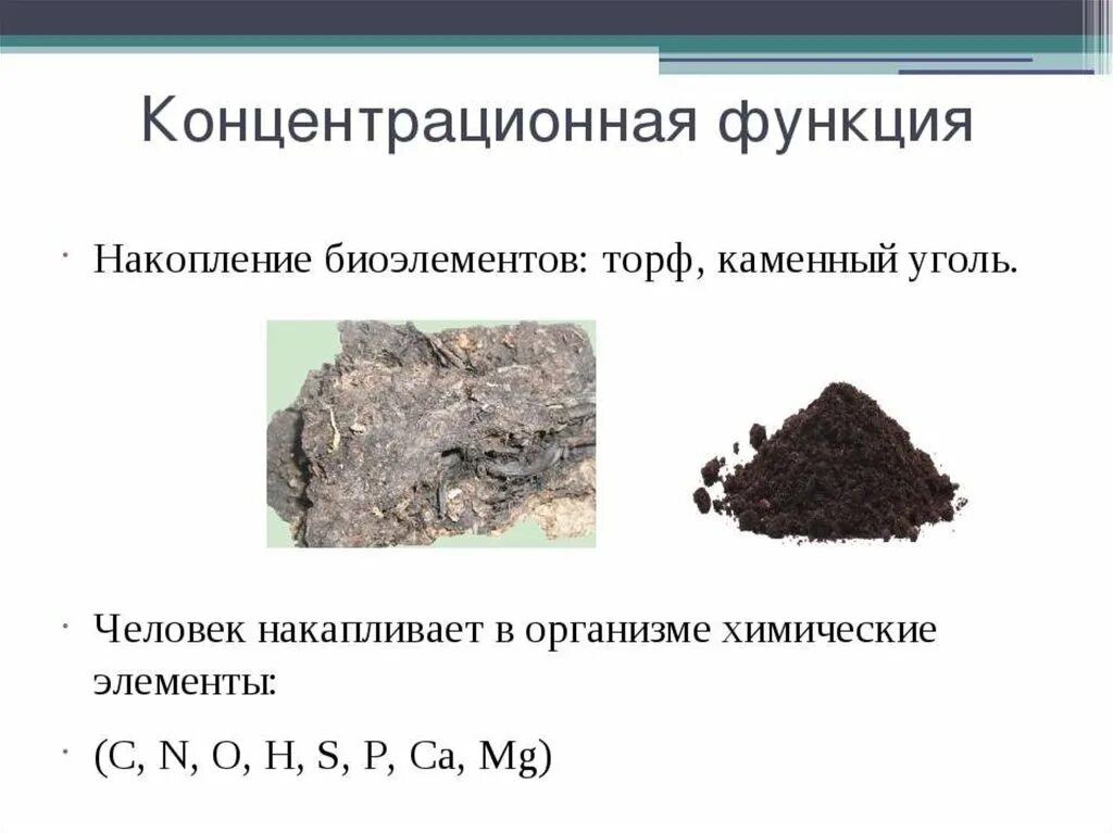 Выберите пример концентрационной функции биосферы. Концентрационная функция биосферы. Концентрационная функция живого вещества. Концентрационная функция живого вещества в биосфере. Контрацеонная функция биосферы.