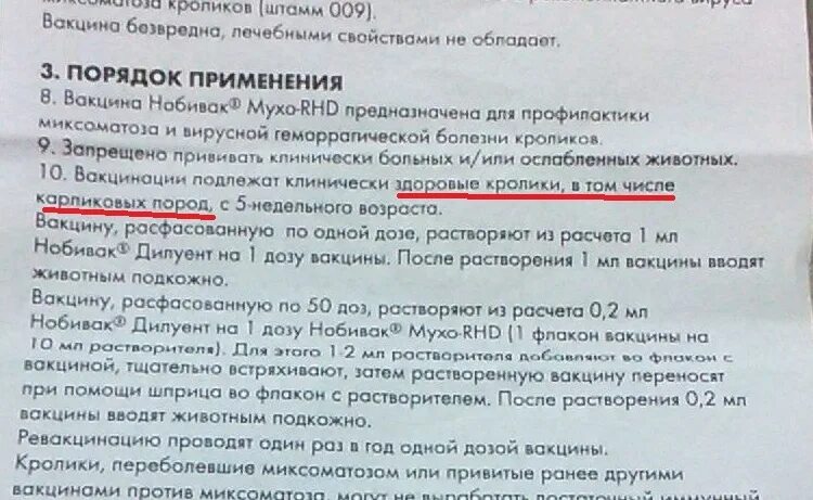 Вакцина для кроликов Раббивак v инструкция. Вакцина от ВГБК для кроликов Раббивак. Инструкция по вакцинации кроликов против миксоматоза и ВГБК сухая. Вакцина Раббивак v для кроликов инструкция по применению.