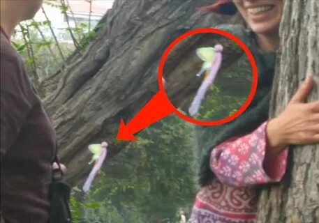 Существуют ли в жизни феи