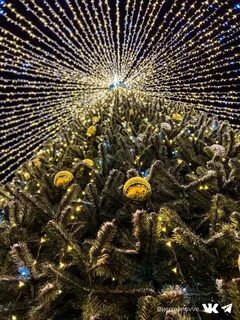Новогодний череповец