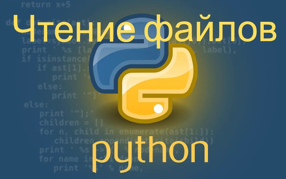 Python очно. Питон язык программирования. Питон программирование язык программирования. Пион язык программирования. Язык программирования пbajy.