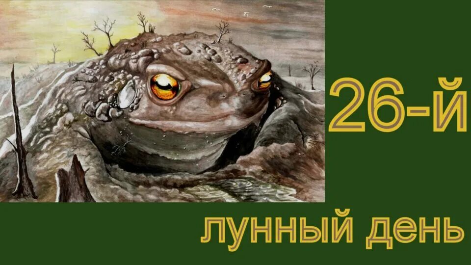 26 апреля лунный день. 26 Лунный день. Лунная жаба. Гигантская лягушка арт. 26 Лунный день символ.