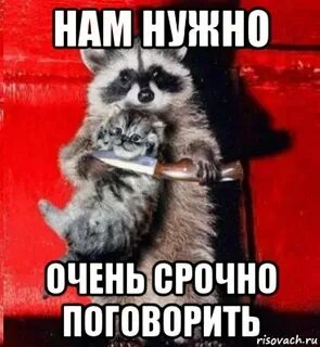 Скинь деньги пушистик