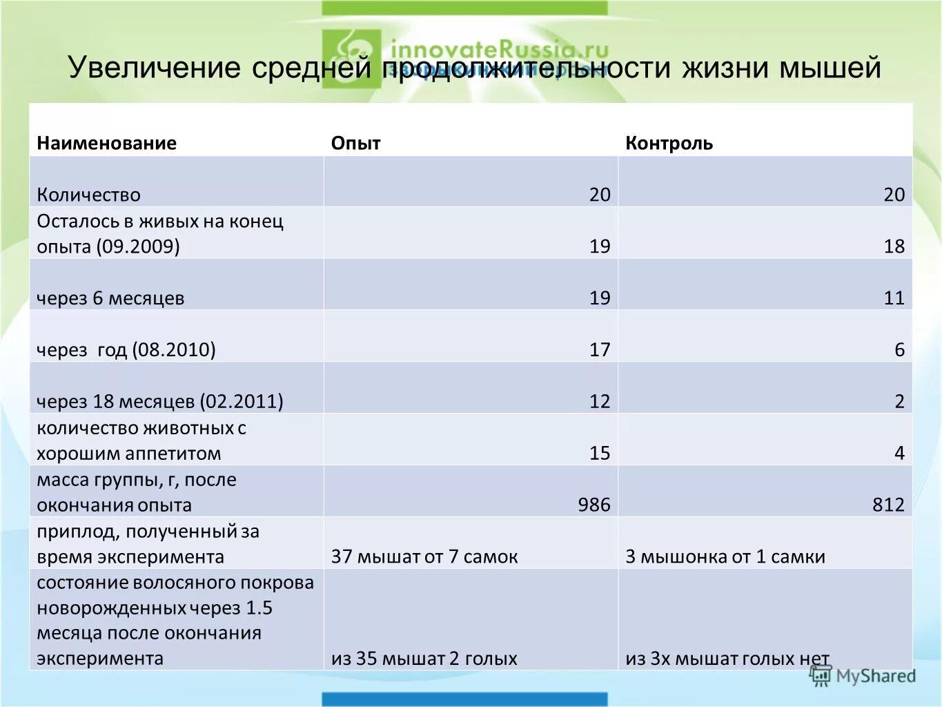 Продолжительность жизни мыши. Средний срок жизни грызунов.