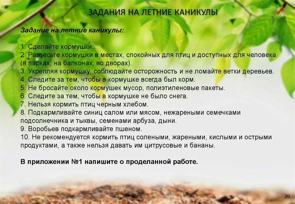 Дневник эколога 2 класс. Дневник по экологии. Ведения экологического дневника. Дневник эколога. Экологический дневник 2 класс.