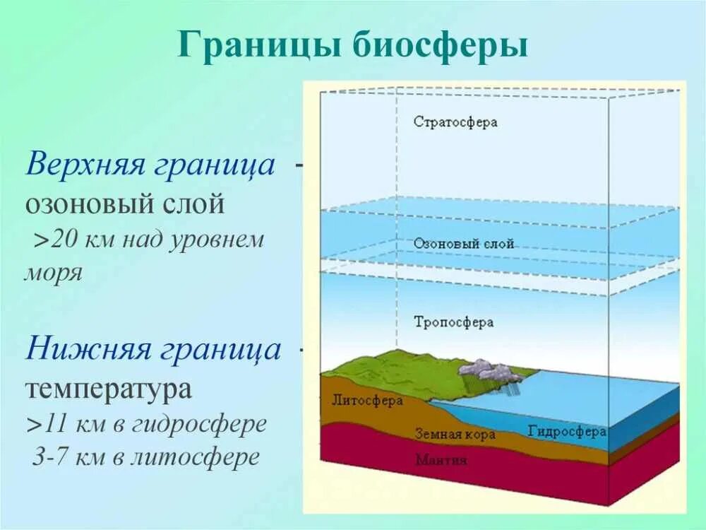 Какая оболочка земли полностью. Границы биосферы атмосфера гидросфера литосфера. Биосфера атмосфера гидросфера литосфера рисунок. Границы атмосферы литосферы гидросферы. Границы биосферы схема.