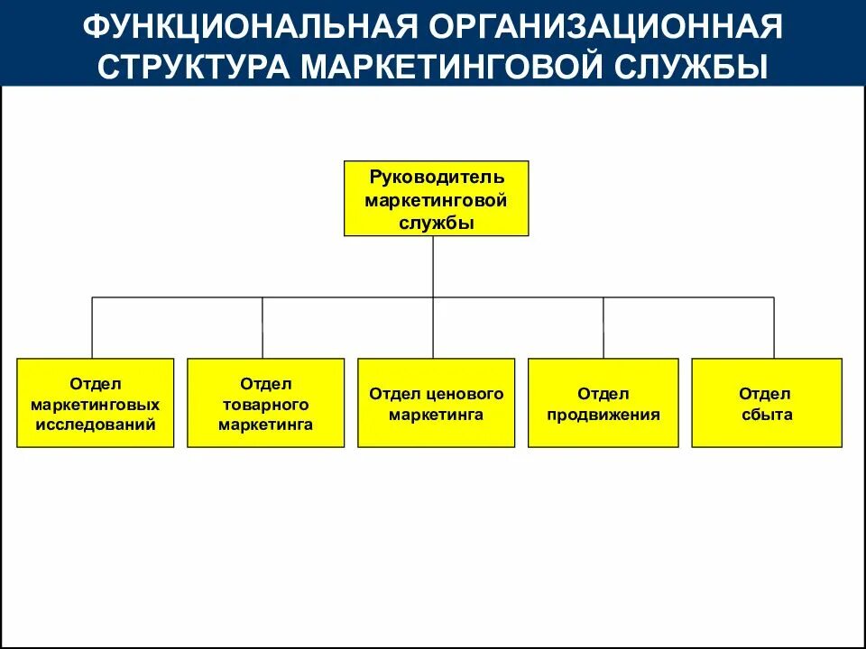 Организационная и функциональная служба