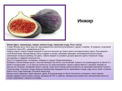 Можно есть плоды