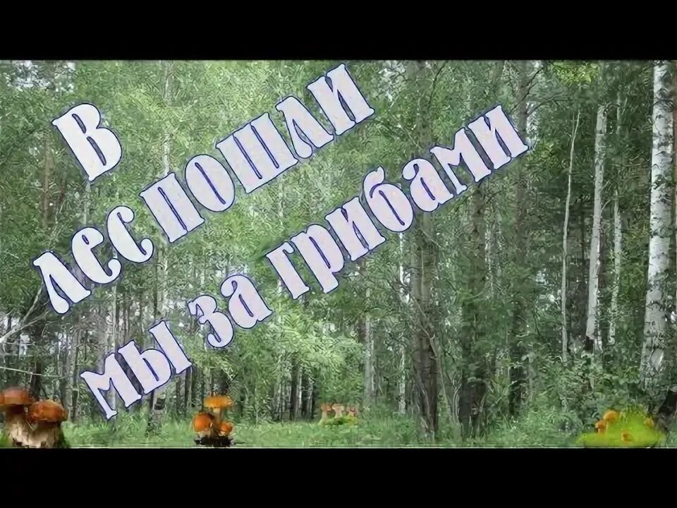 Песня грибочки пошли мы в лес. Песня грибочки пошли мы в лес
