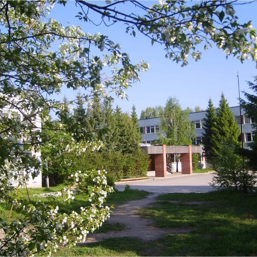 Гимназия в краснообске. Школа 1 краснообск. Школа гимназия краснообск. Краснообск новая школа гимназия. Гимназия краснообск.