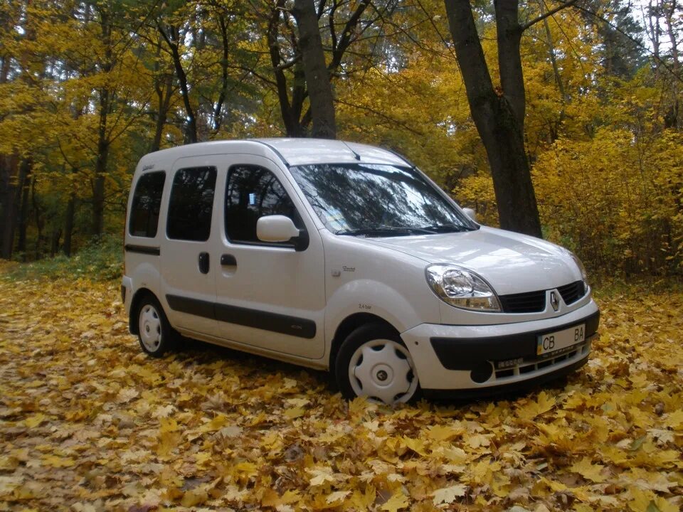 Renault kangoo дизель. Рено Кангу 1. Рено Кангу 1.2. Рено Кангу 1 Рестайлинг. Рено Кангу 1.4.